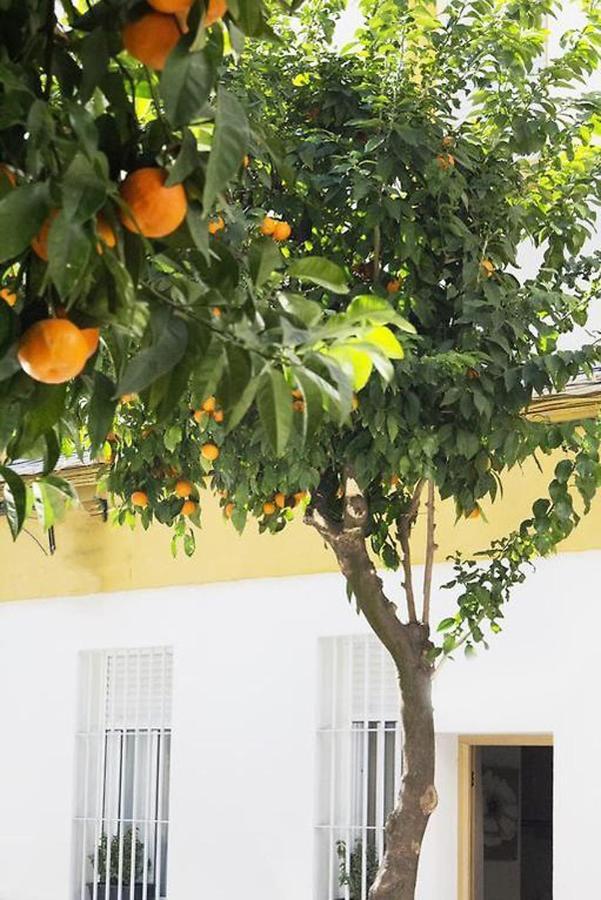 Apartamento Costasol Córdoba Exterior foto